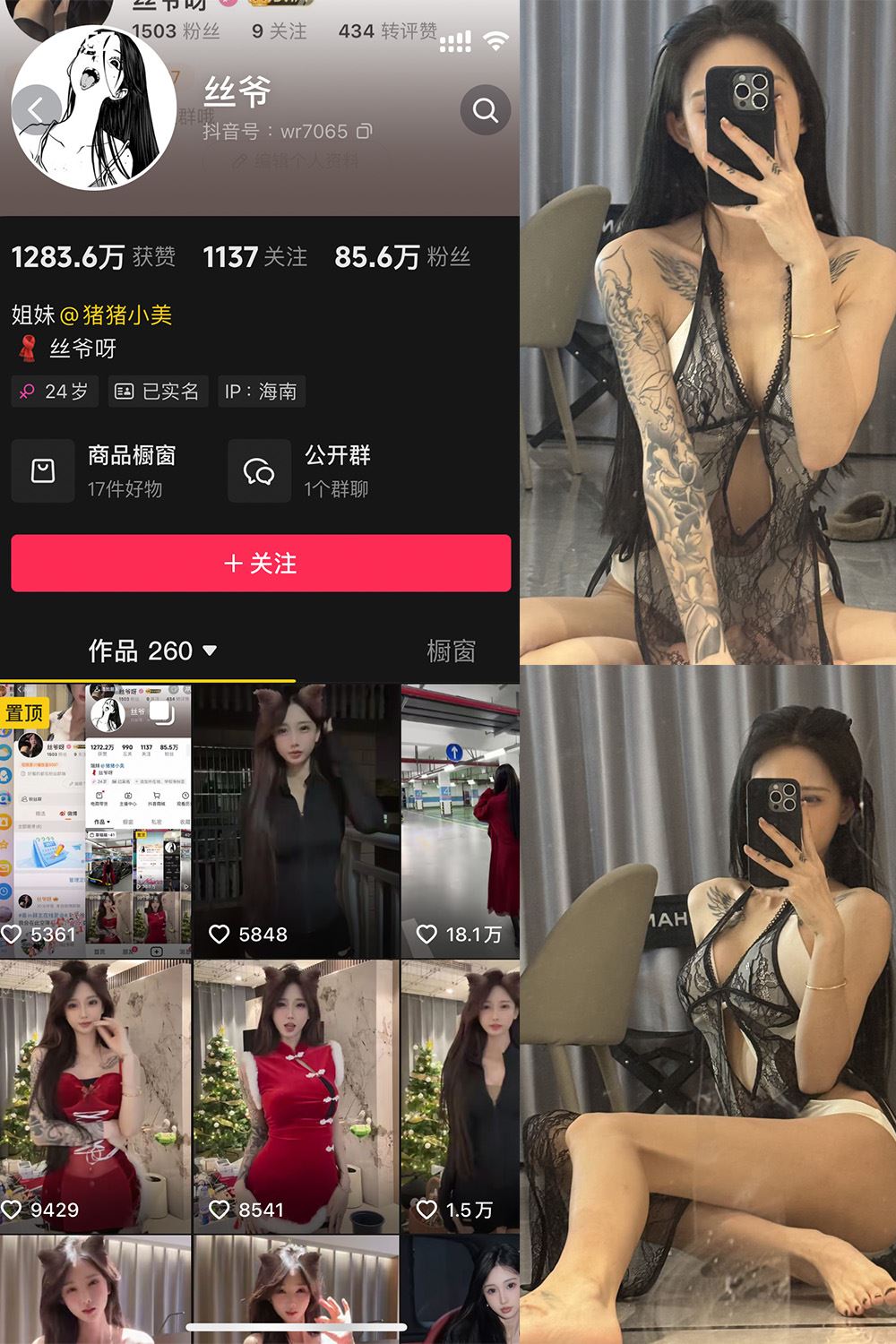 抖音 丝爷 微密圈 NO.003期 【52P4V】最新至：2024.12.13-秘语喵