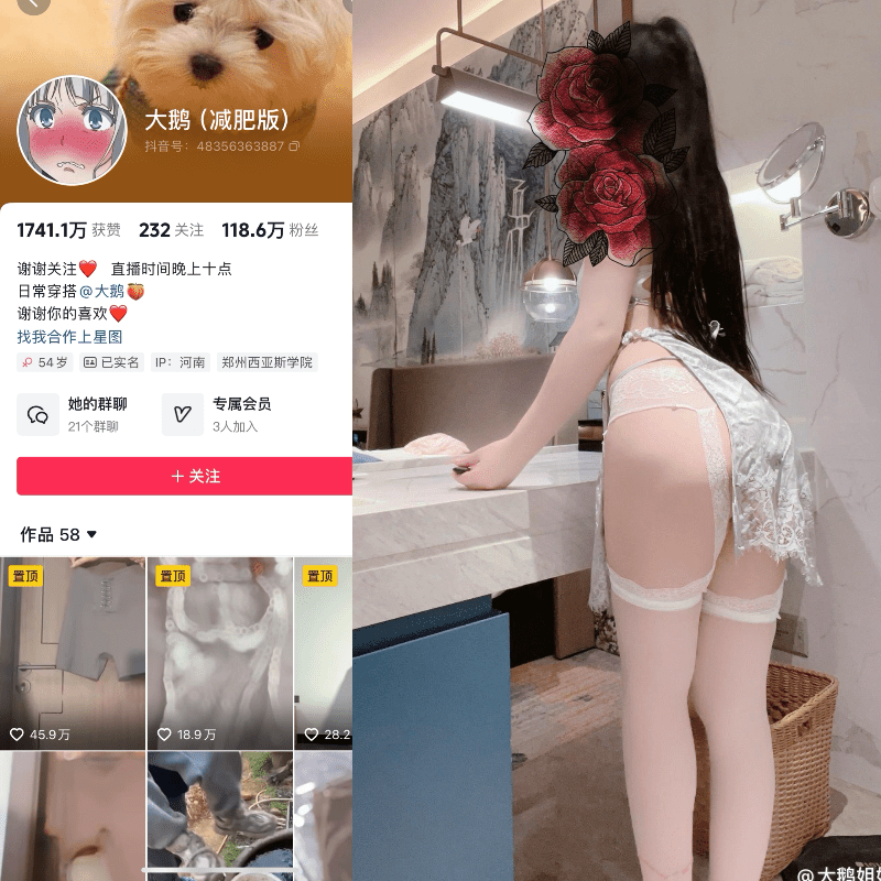 图片[1]-抖音大鹅gaga微密圈合集【382P 68V】-秘语喵